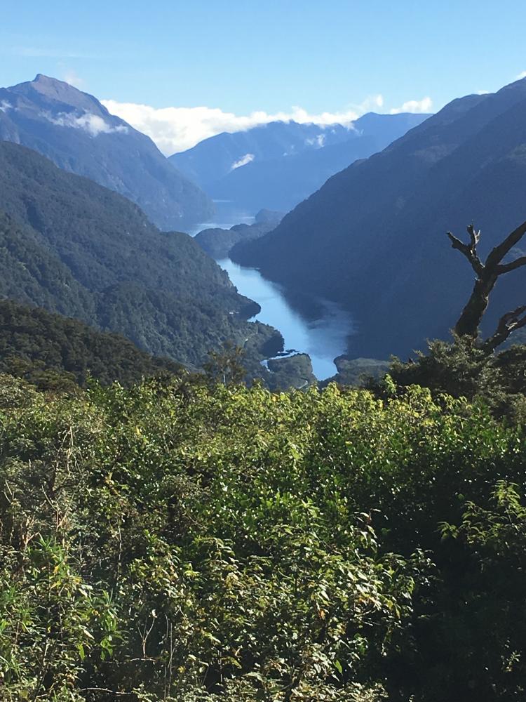 Looking down into Doubtful Sound.